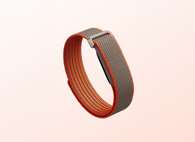 Fitbit Air